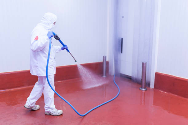 Reliable Newcomerstown, OH Pressure Washing Services Solutions